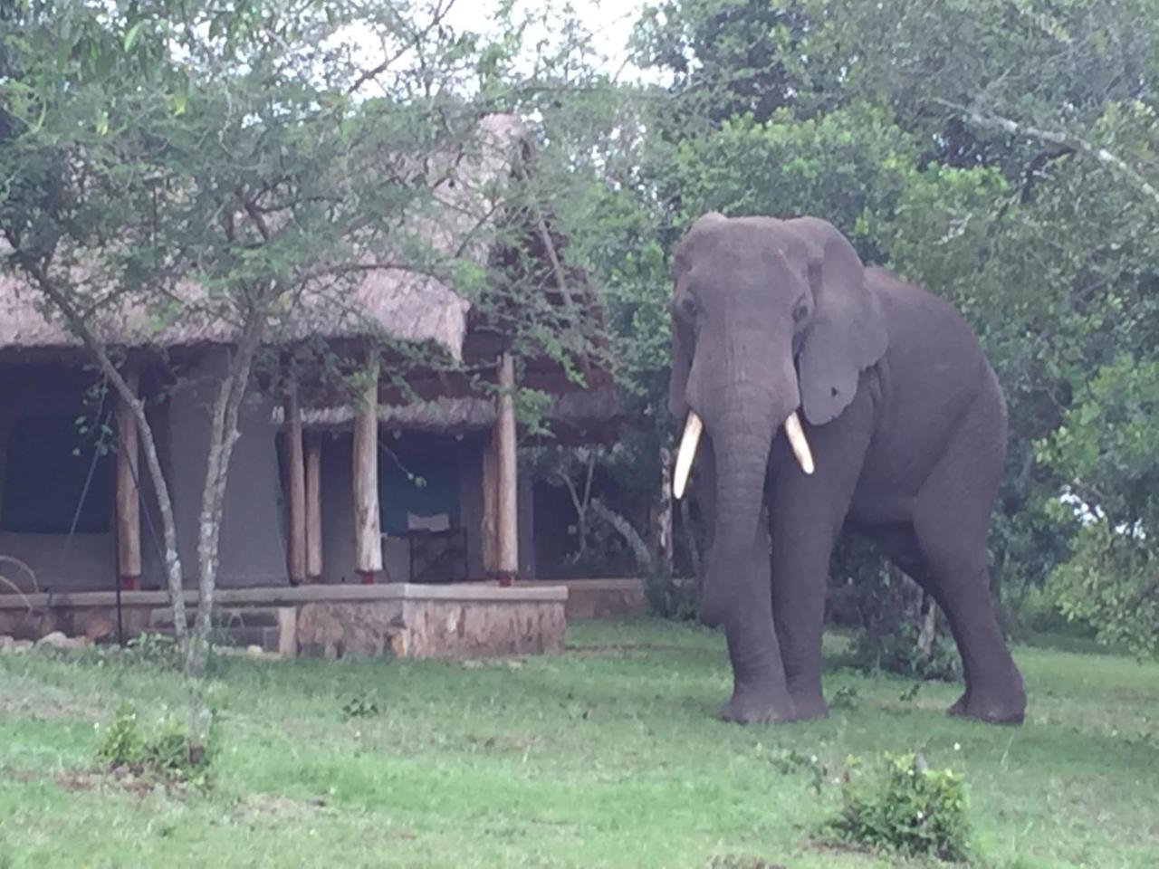 Queen Elizabeth Bush Lodge By Nature Lodges Ltd Katunguru Exterior foto